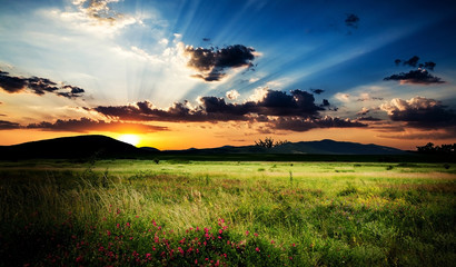 Fototapety na wymiar - Fototapeta24.pl