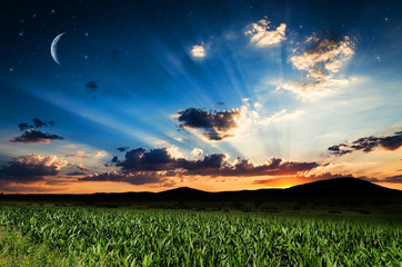 Fototapety na wymiar - Fototapeta24.pl