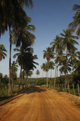 Fototapeta na wymiar Parco statale di Pedra da Boca, Paraiba Brasil
