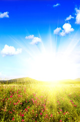 Fototapety na wymiar - Fototapeta24.pl