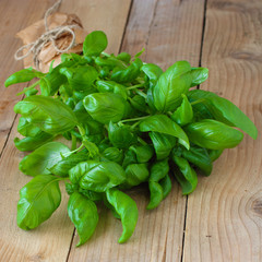 Fresh basil leaves on wooden table