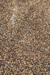 Coffee beans background