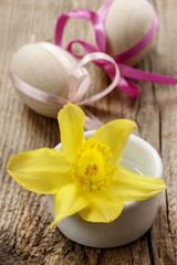 Single daffodil flower and easter eggs in the background