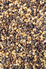 Coffee beans background