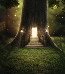 Tuinposter Enchanted forest. © Kevin Carden
