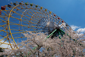 春の観覧車