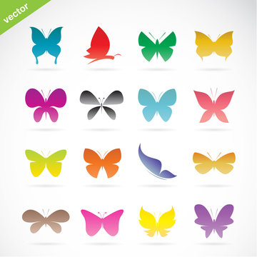 Vector group of colorful butterfly