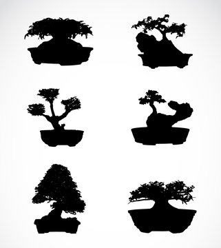 Set of trees in pots