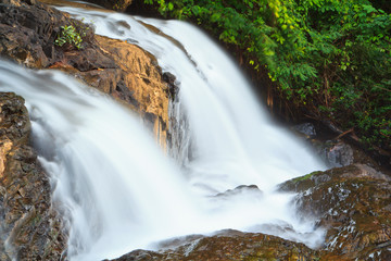 Fototapeta premium Waterfall in the forest