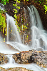 Obraz na płótnie Canvas Waterfall in the forest