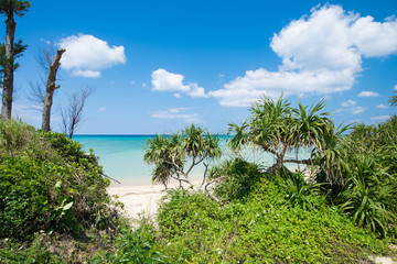 Fototapeta na wymiar 沖縄のビーチ