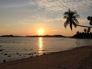 Fototapeta na wymiar sunset on the beach with coconut tree