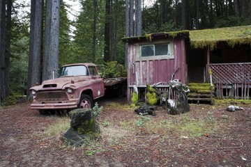verlassene Hølzhütte mit Lastwagen im Wald