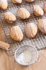 Madeleines