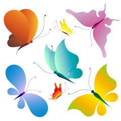 butterflies design