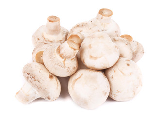 Bunch of white mushrooms close up