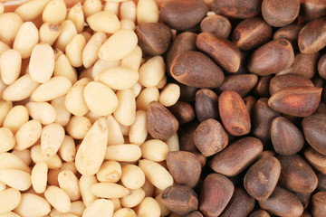 Bunch of pine nuts. Close up
