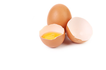 Close up of broken egg