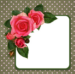 Rose flowers composition and frame