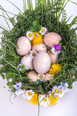 .Eggs in a basket with spring plants and flowers