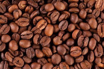 coffe beans