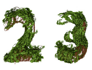 Two and three  vine numbers.