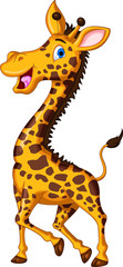 Obraz premium cute giraffe cartoon