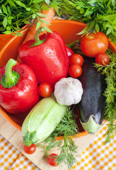 Fresh vegetables (ratatouille ingredients)