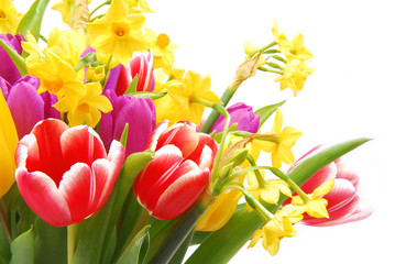 bouquet of tulip and daffodils flower