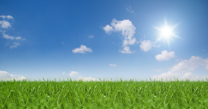 Landschaft / Himmel / Gras / Sonne