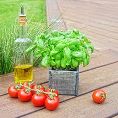 Basil, olive oil and tomatoes