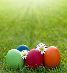 Fototapeta premium colorful Easter egg in the fresh spring grass