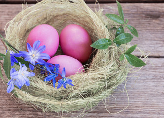 Easter egg nest with flowers on rustic wooden background