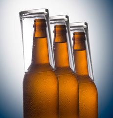 Beer bottles isolated on color background, studio still-life
