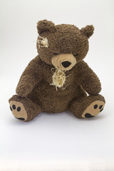 Teddybär - 63537800