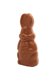 Fototapeta na wymiar Easter chocolate bunny isolated