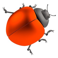 realistic 3d render of ladybug