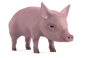 realistic 3d render of little pig