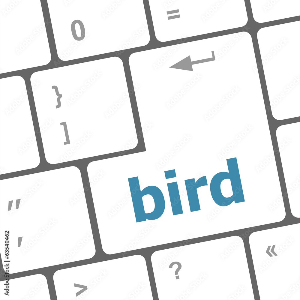 Poster button keyboard key, keypad with bird word