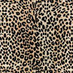 Fototapeta na wymiar leopard pattern