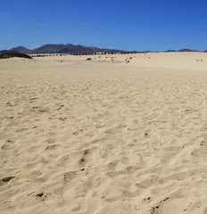 Cercles muraux Plage de Sotavento, Fuerteventura, Îles Canaries Sand dune on Sotavento beach on Jandia peninsula, Fuerteventura,