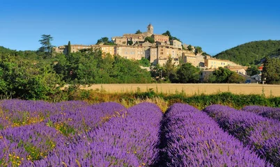 Foto auf Glas Lavendel in der Provence © Tilio & Paolo