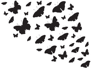 Beautiful butterflies flying around background