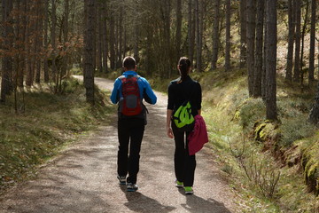 Pareja joven caminando por el bosque