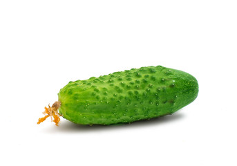 fresh cucumber isolated