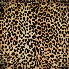 Fototapeta na wymiar leopard pattern