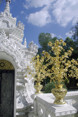 golden tree on white temple