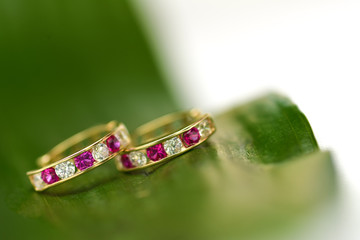 Colored earrings baby sitting on a green leaf