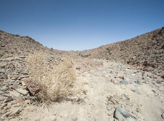Rocky mountain slope in a desert