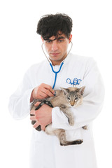 veterinarian with Siamese cat